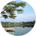 Dung Phan Duy profile picture